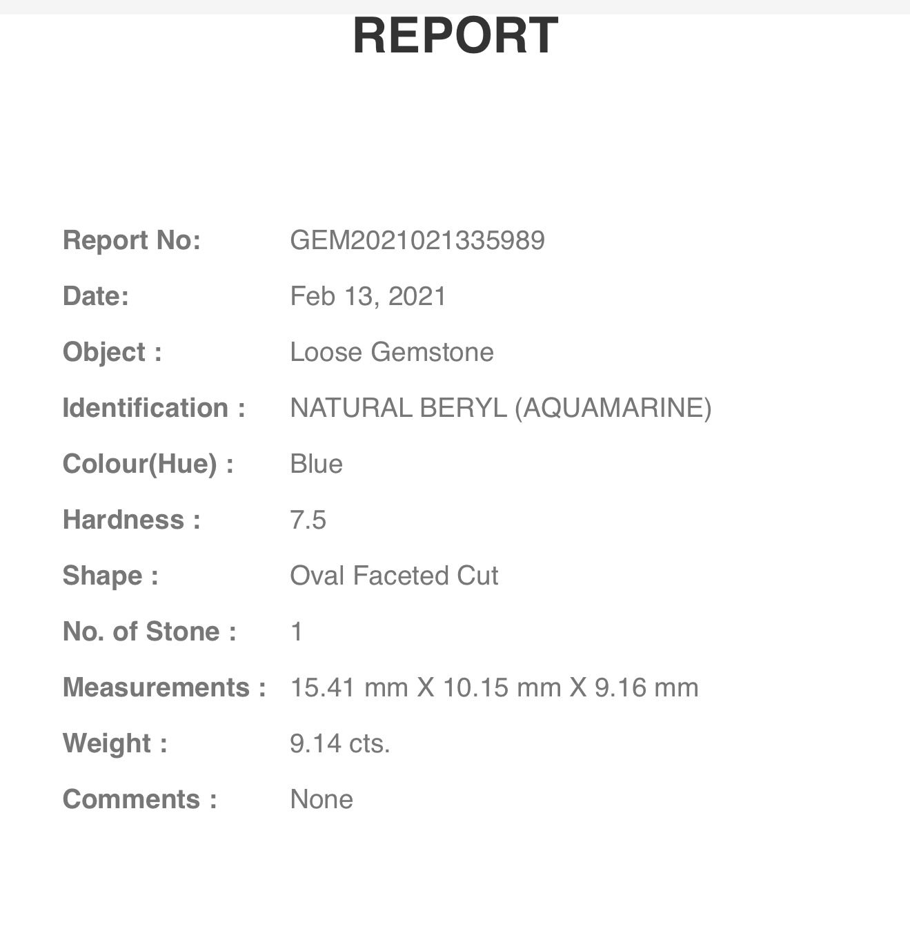 products/3327/IMG_9193.jpeg - Akvamarin 9,14ct - Zlatara Petrović Beograd